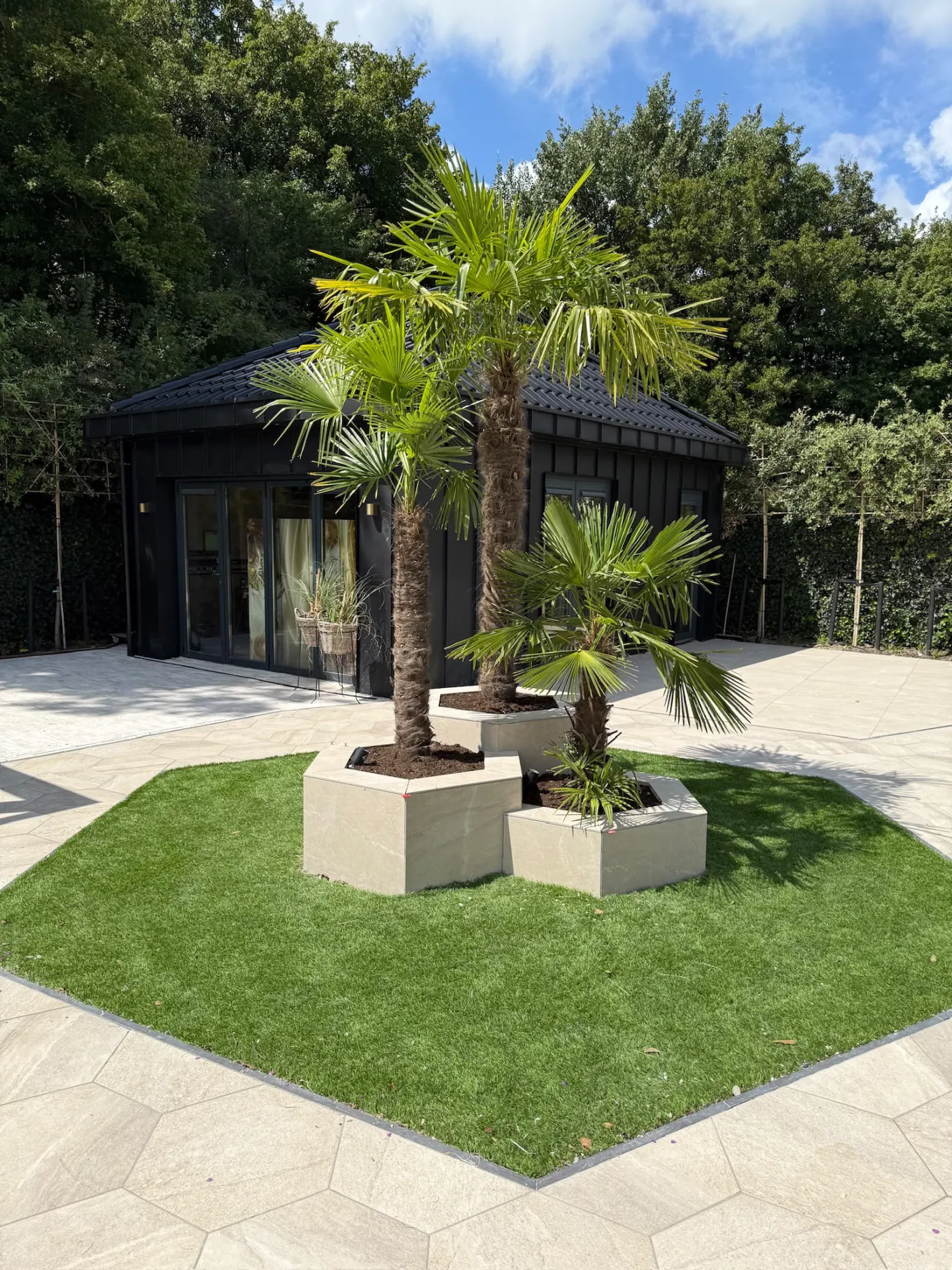 Palmen voor het zwarte tuinhuis