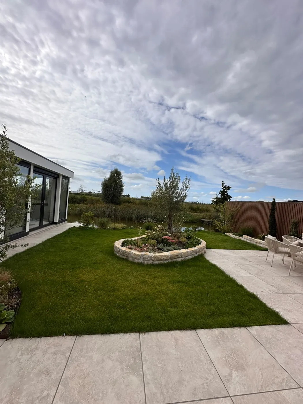 Olijfboom in een rond plantvak